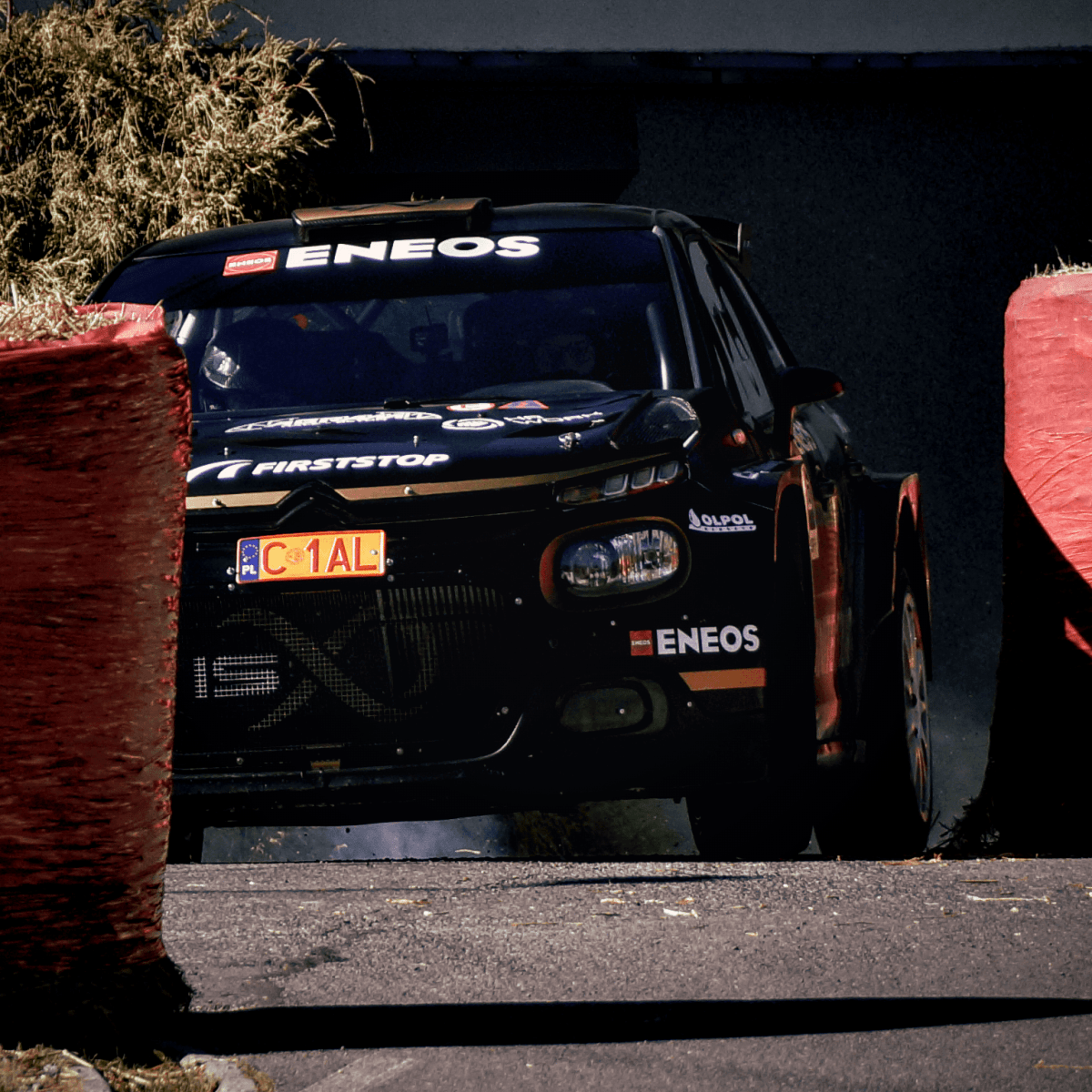 Rally Silesia (2025)